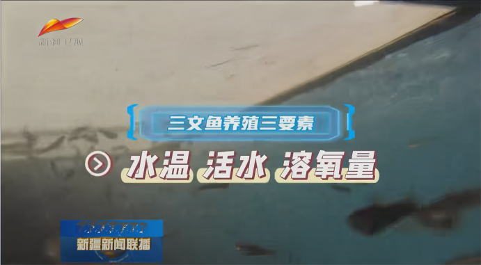 36bb2618-4dbd-11f0-986f-92fbcf53809c.png