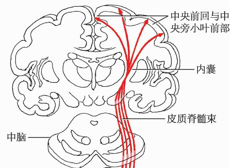d7830b82-598f-11f0-9cf1-92fbcf53809c.png
