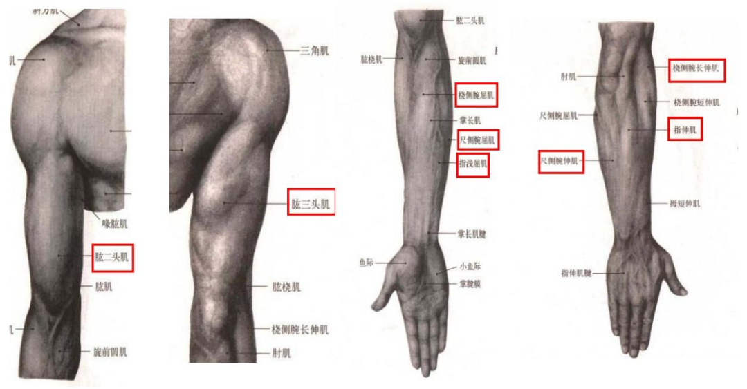 d8a1aa64-598f-11f0-9cf1-92fbcf53809c.png