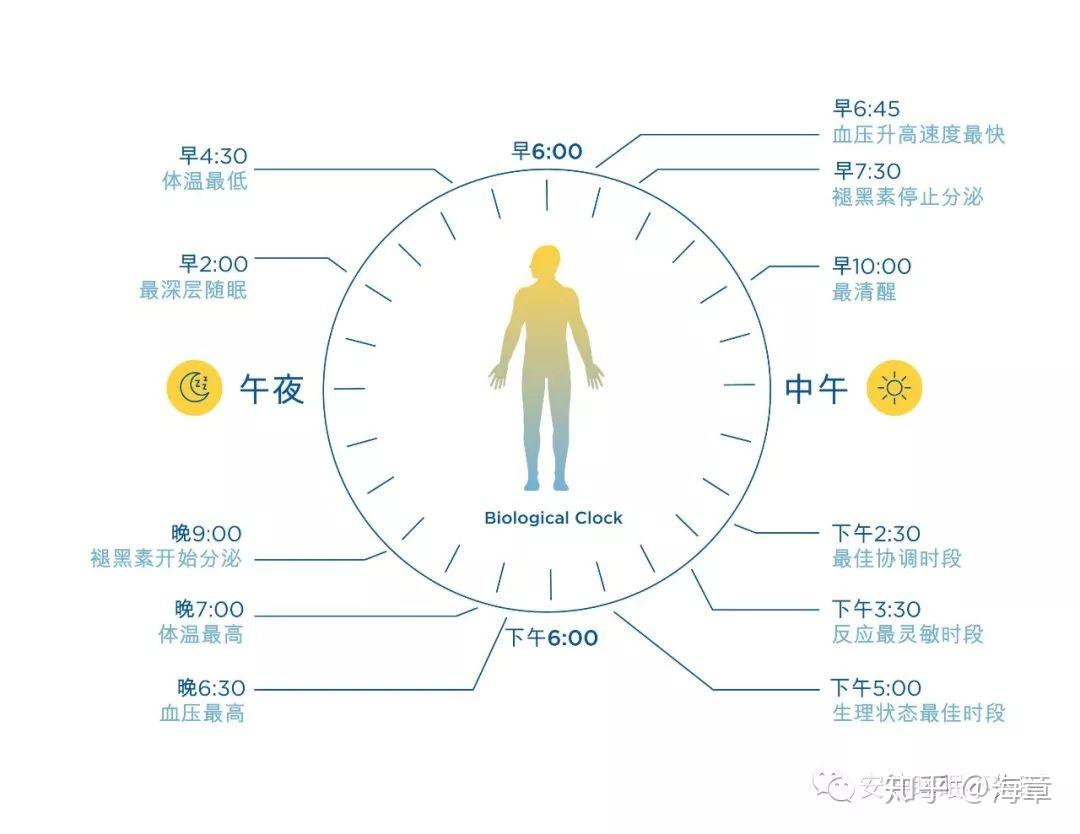 d97dcf8e-63c2-11f0-a486-92fbcf53809c.png