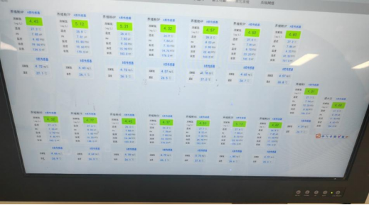 705786d0-6e99-11f0-9080-92fbcf53809c.png