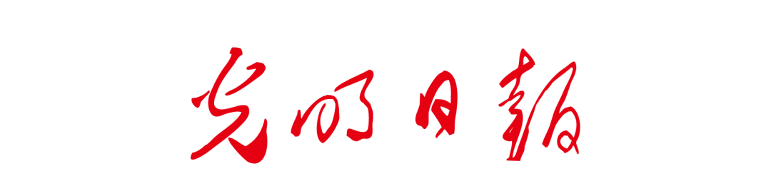 bd9f4368-6e8c-11f0-9080-92fbcf53809c.png