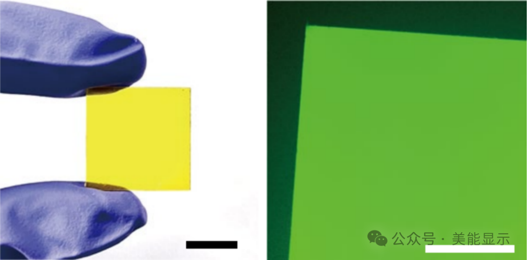 12a2f904-7680-11f0-9080-92fbcf53809c.png