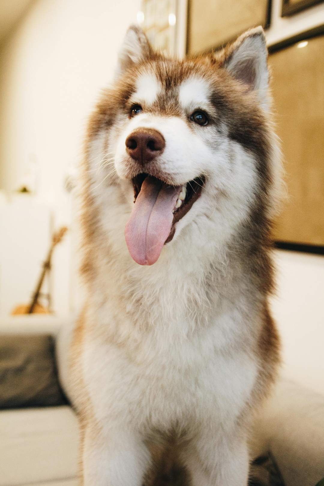 29a3b6f0-78fd-11f0-9080-92fbcf53809c.png
