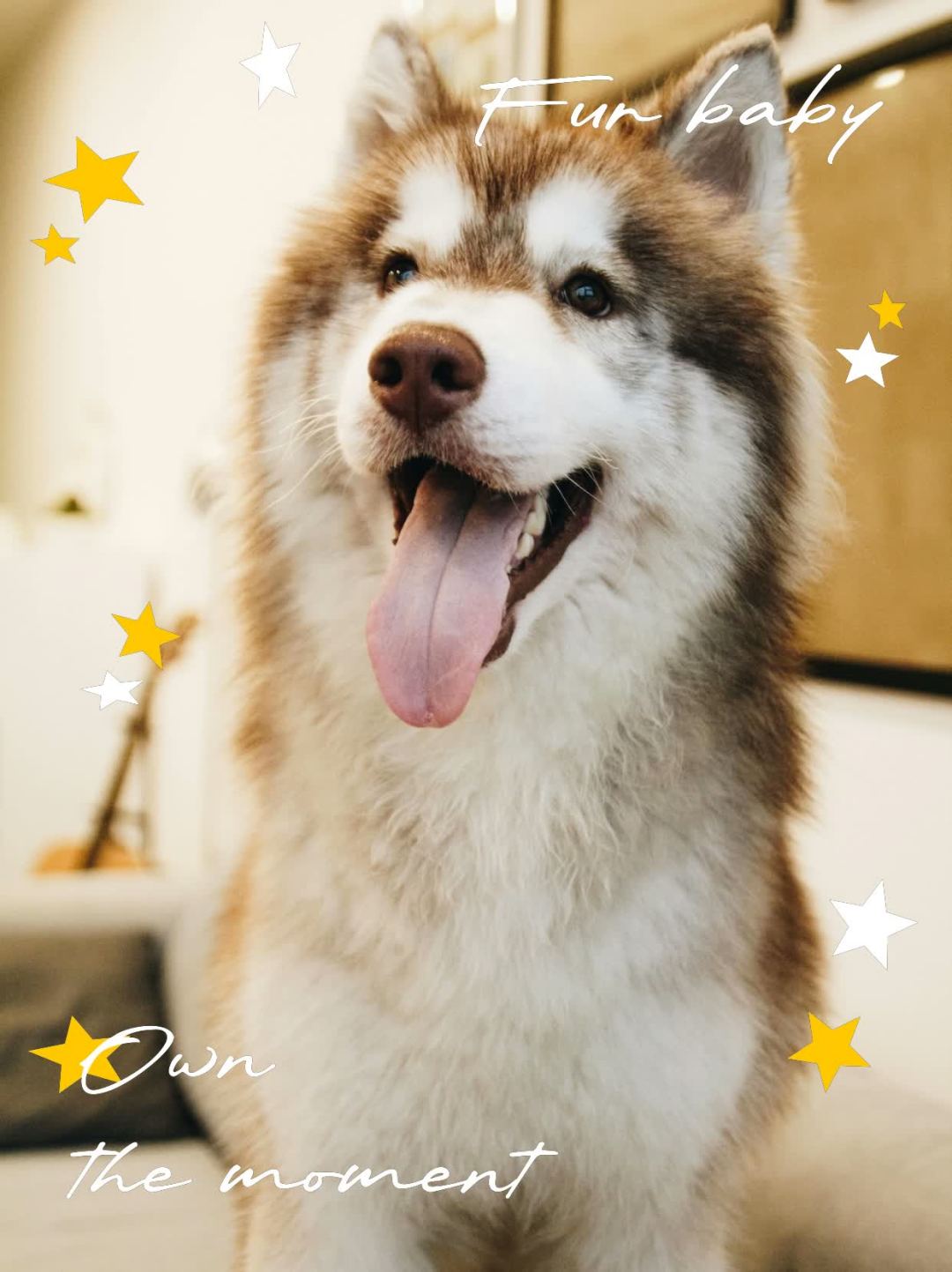 29c73a80-78fd-11f0-9080-92fbcf53809c.png