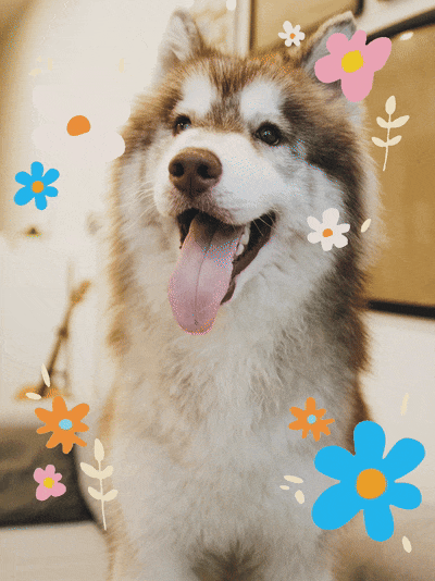 29ebe362-78fd-11f0-9080-92fbcf53809c.gif