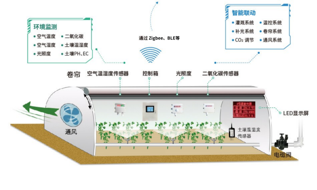 8d2eac0c-7902-11f0-9080-92fbcf53809c.png