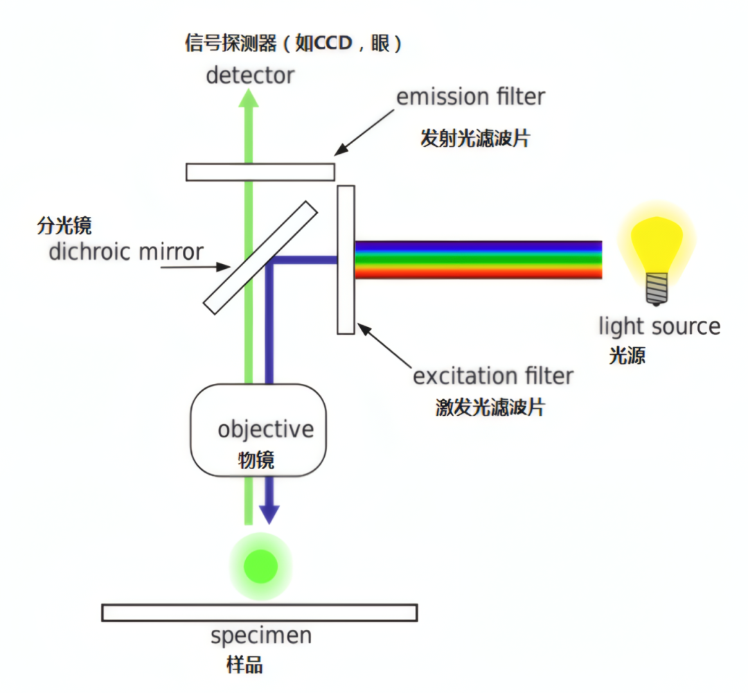 c46f5b90-aff7-11f0-8ce9-92fbcf53809c.png
