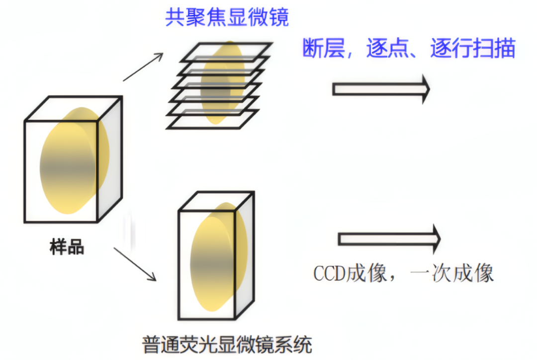 c47d23c4-aff7-11f0-8ce9-92fbcf53809c.png