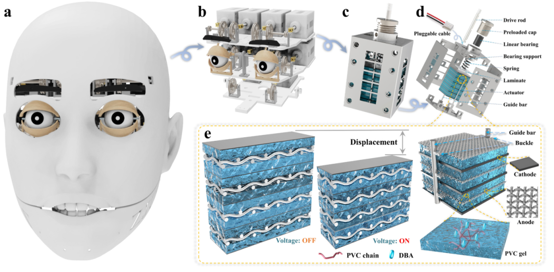 高压放大器ATA-7030在电致变形柔性致动器表情机器人控制实验中的应用