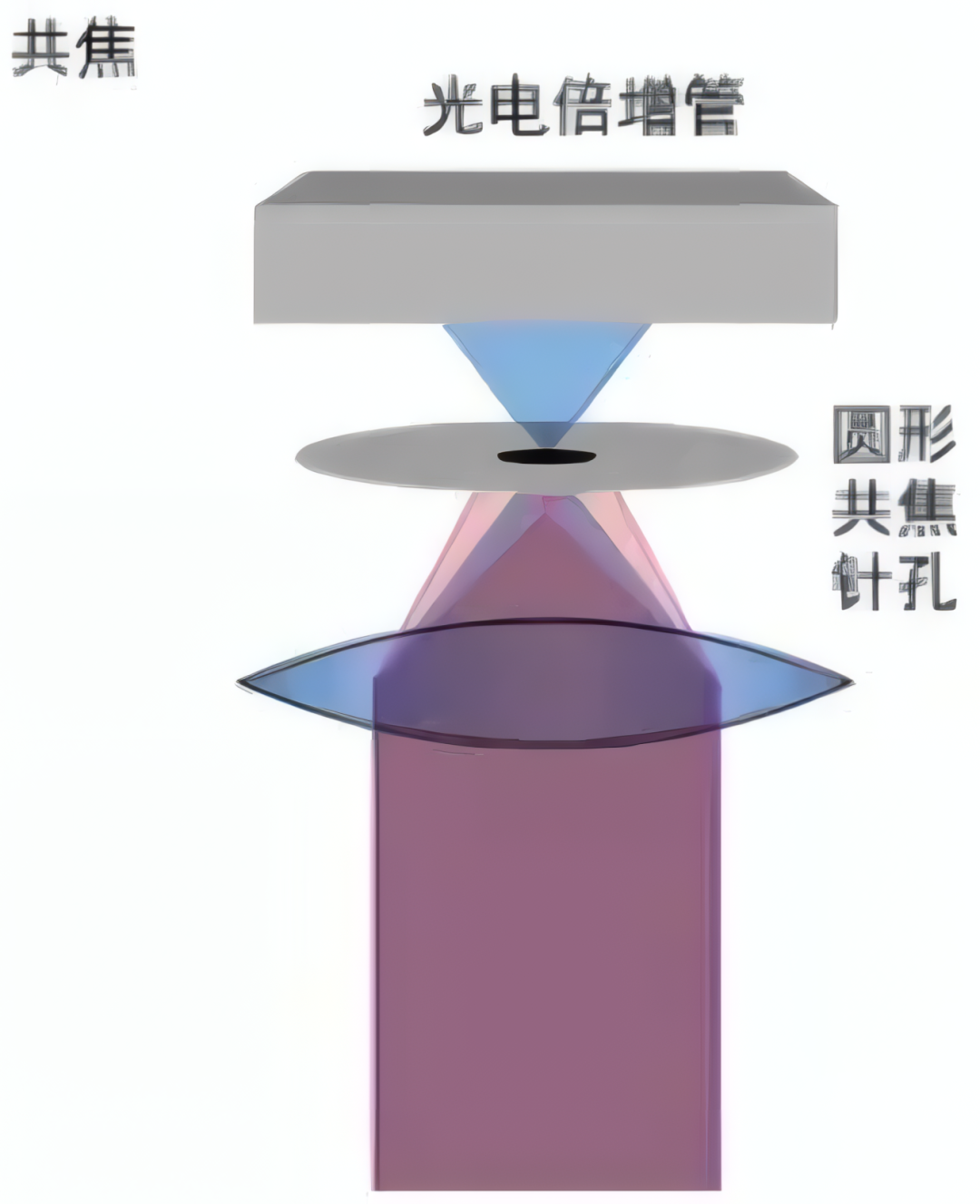 共聚焦显微镜VS激光共聚焦显微镜的技术对比