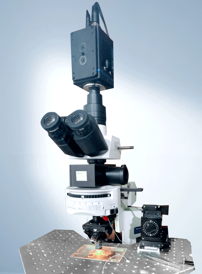 应用案例 | 40倍镜下解析小鼠脑部神经元：深视智能sCMOS相机赋能膜片钳实验高效开展