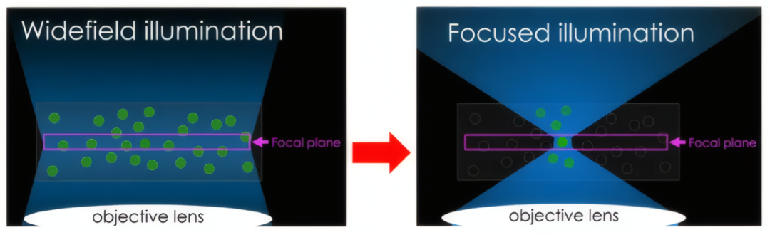 共聚焦显微镜的技术原理与扫描方式详解