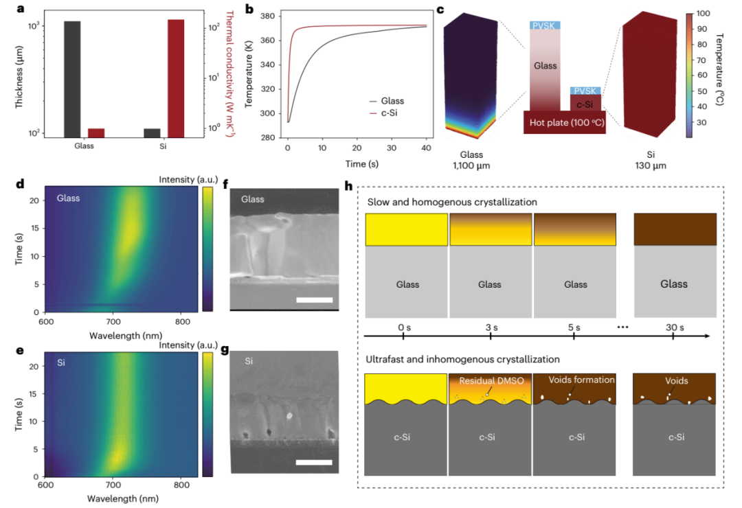 32.76%，高效稳定钙钛矿/TOPCon叠层电池：双模式配体调控FA⁺结晶