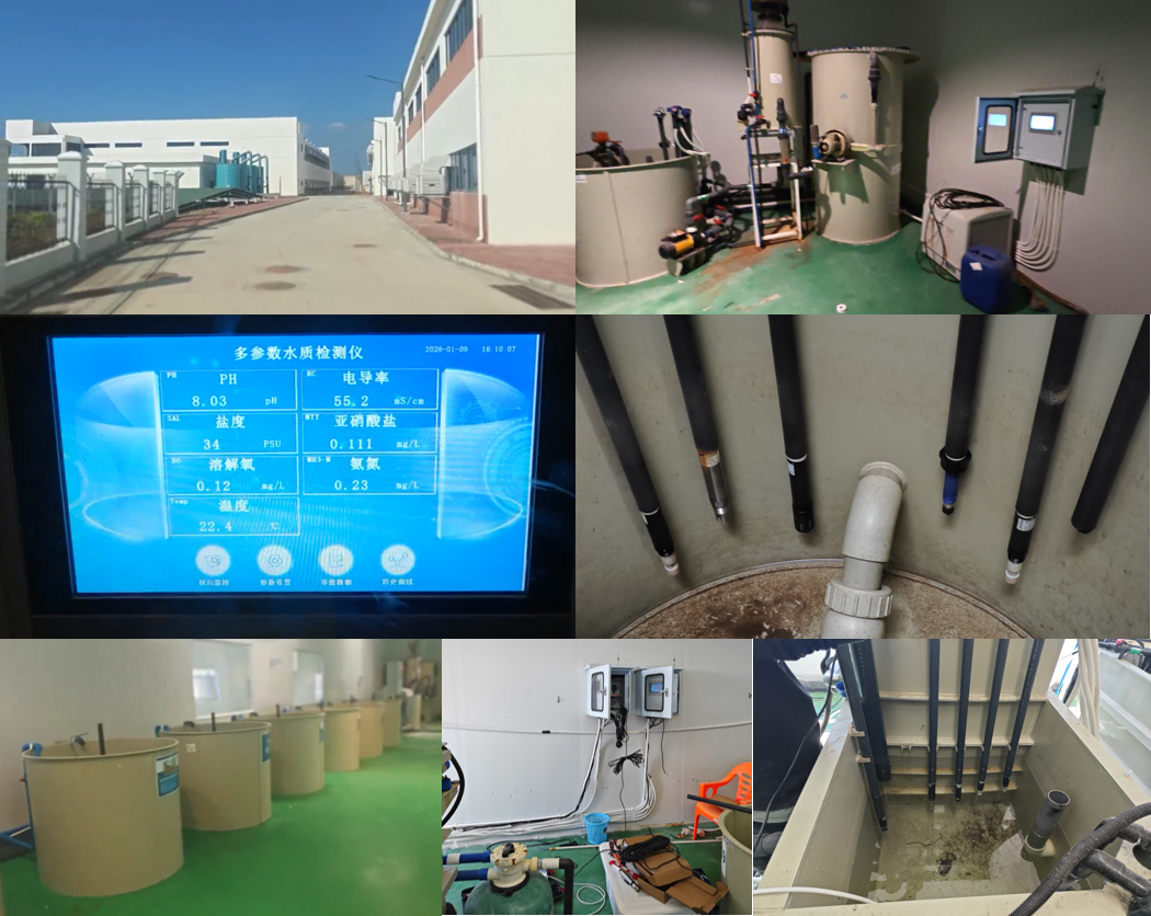 4006cc06-4a90-11f1-ab55-92fbcf53809c.png