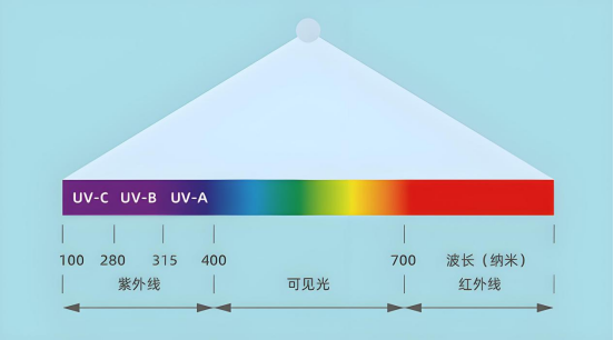 a8a0e08e-4d20-11f1-ab55-92fbcf53809c.png