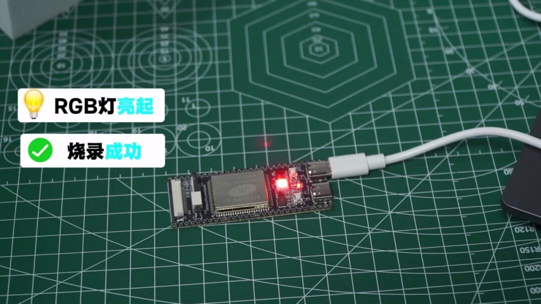 048acc34-bbee-11f1-ab55-92fbcf53809c.jpg